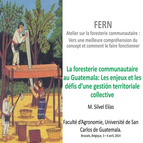 Community Forestry in Nepal | PPT