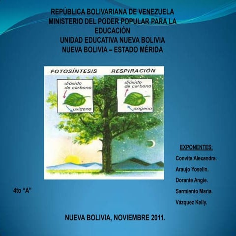 La fotosintesis y la respiracion