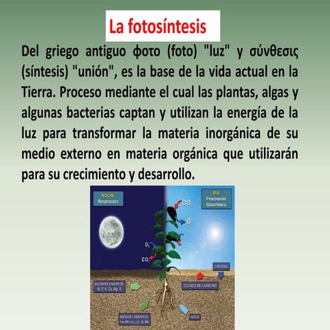 La fotosíntesis