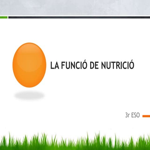 La funció de nutrició, 3r eso