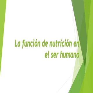 La función de nutrición en el ser h...