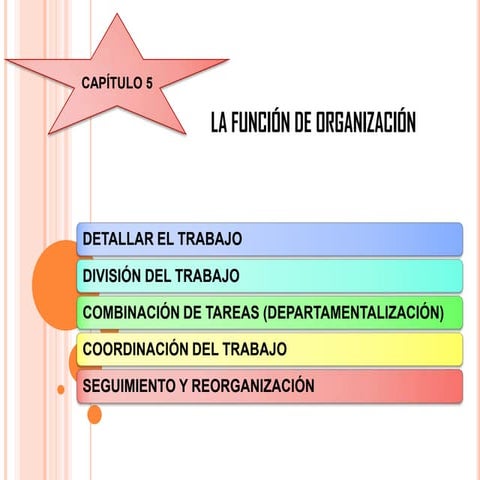 La función de organización cap 5