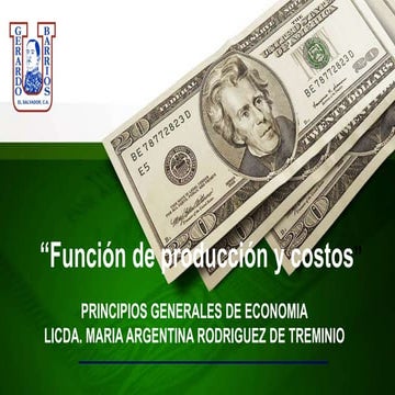 La funcion de produccion