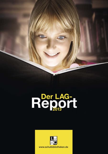 LAG-Report 2013