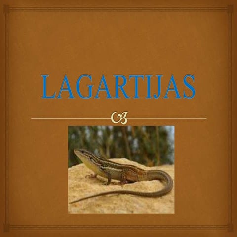 Lagartijas