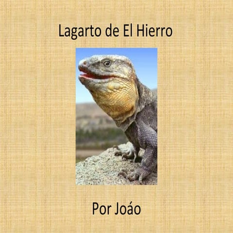 El lagarto de El Hierro