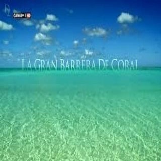 La gran barrera de coral
