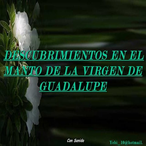 LA GUADALUPANA