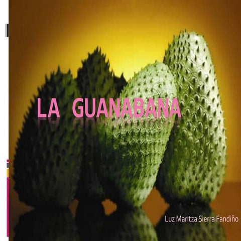 La Guanabana