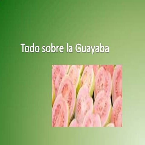 La guayaba power