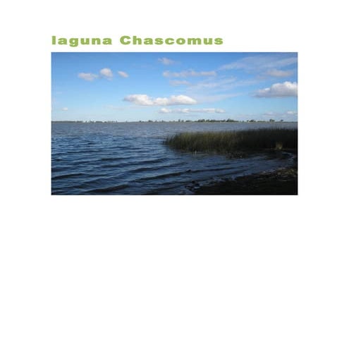 Laguna chascomus
