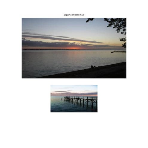 Laguna chascomus luciano