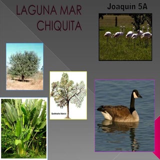 Laguna mar chiquita8