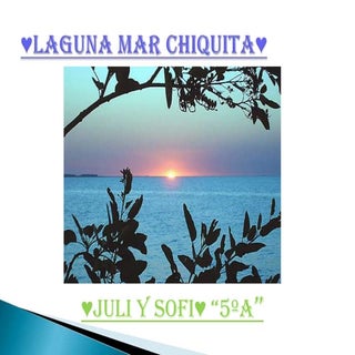 Laguna mar chiquita 8 