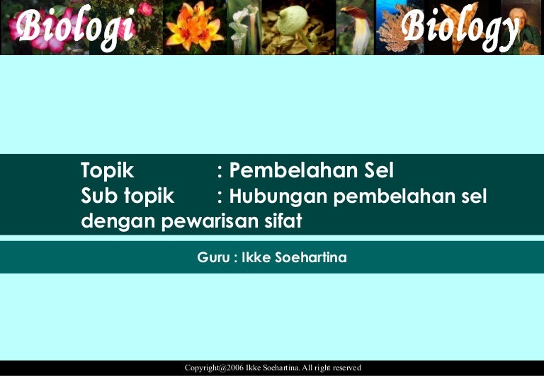 Pembelahan Sel: Hubungan pembelahan sel dengan pewarisan sifat