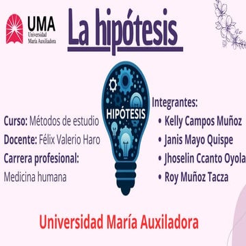 La Hipótesis | Universidad Maria Auxiliadora