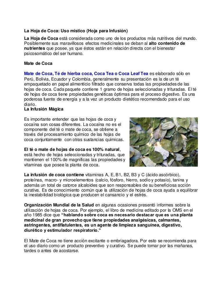 La hoja de coca