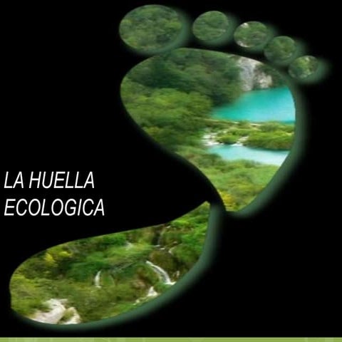 huella ecologica | PDF