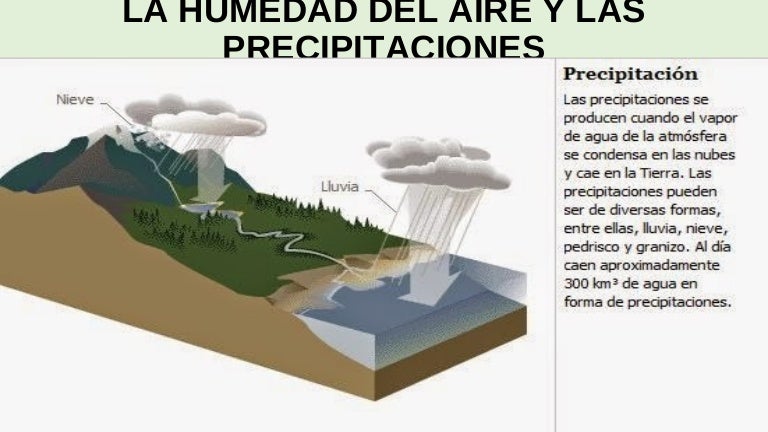 La humedad del aire y las precipitaciones