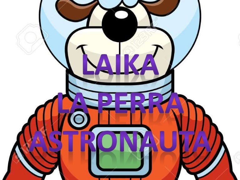 Laika 151005184302 lva1 app6891