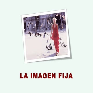 La imagen fija