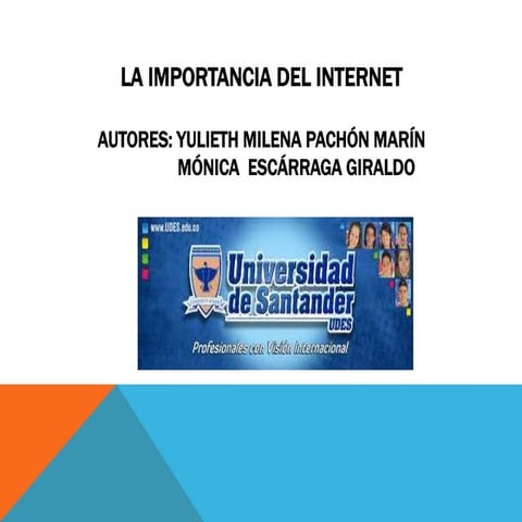 La importancia del internet