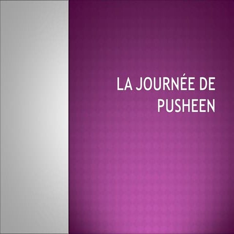 La journée de pusheen