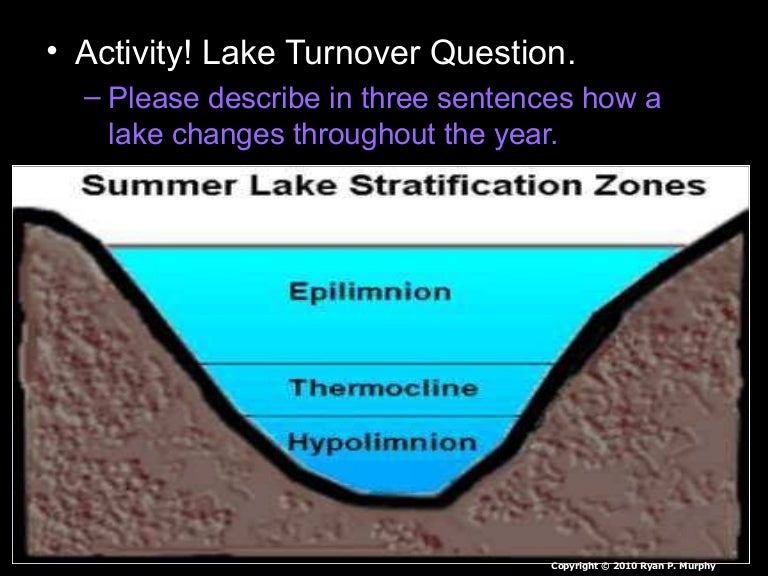 lake turnover pets lake turnover pets
