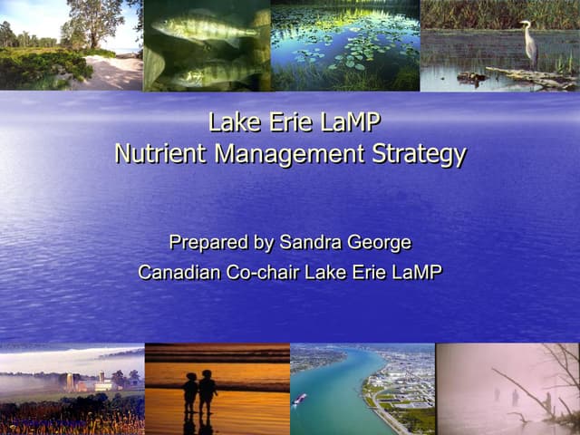 LaMP: Lake Erie Nutrient Strategy