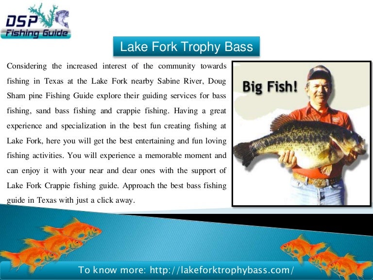 Lake fork fishing guides