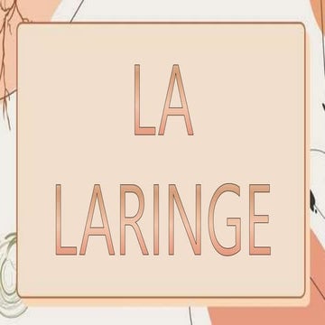 LA LARINGE