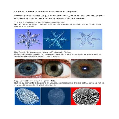 La ley de la variante universal, imagenes.