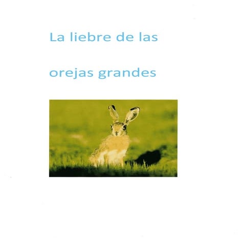 La liebre de la orejas grandes