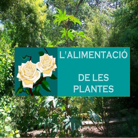 L'alimentació de les plantes power point