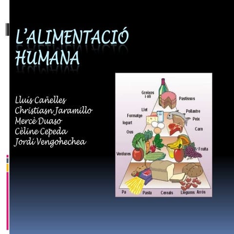 L'alimentació humana 3r d'ESO Grup 4
