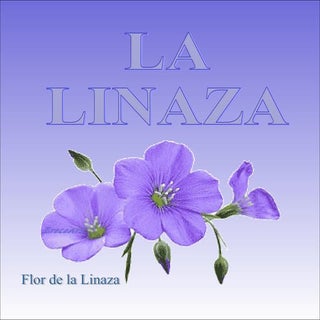 Lalinaza