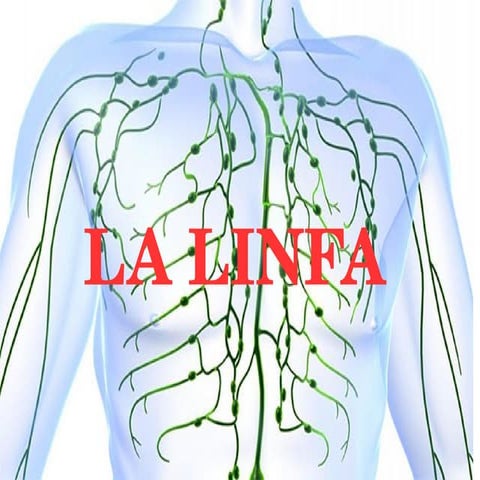 La linfa | ODP