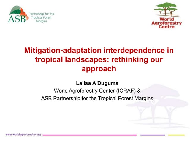 Mitigation-adaptation interdependence in tropical landscapes: rethinking our approach. By Lalisa Duguma