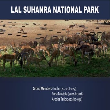 LAL SUHANRA NATIONAL PARK1.pptx Pakistan PPT