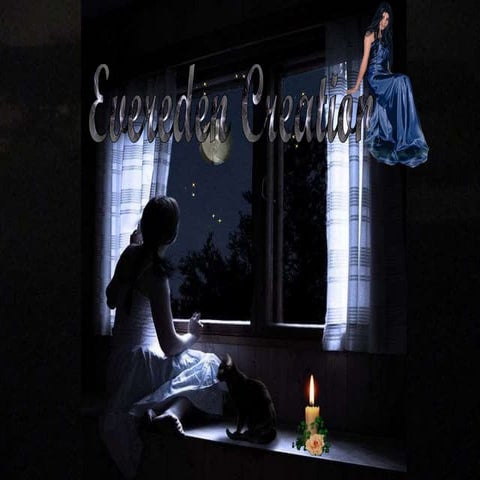 La Luce Della Mia Vita