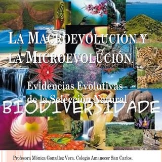 La macroevolución y la microevolución