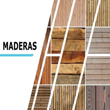 Apunte clase teorica propiedades de la Madera.pdf