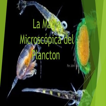 La magia microscópica del plancton