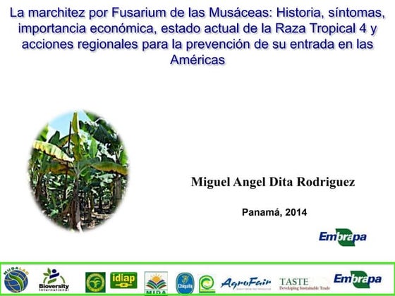 Resultado de imagen de Aloe Vera: Respuesta de la naturaleza a la desaparición de marcas de estiramiento para el bien infografías