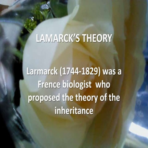 Lamarck’s theory