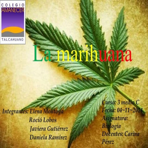 La Marihuana