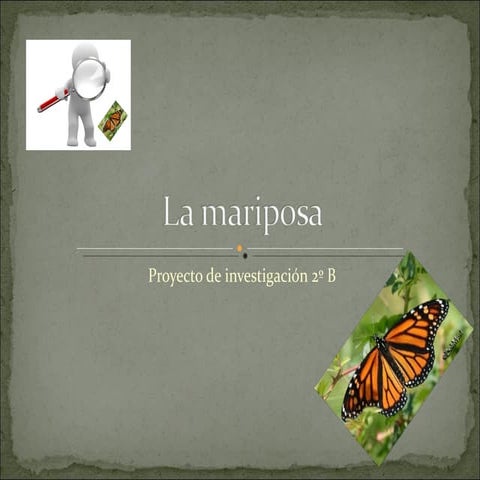La mariposa