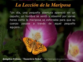 La_mariposa