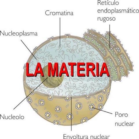 La materia111