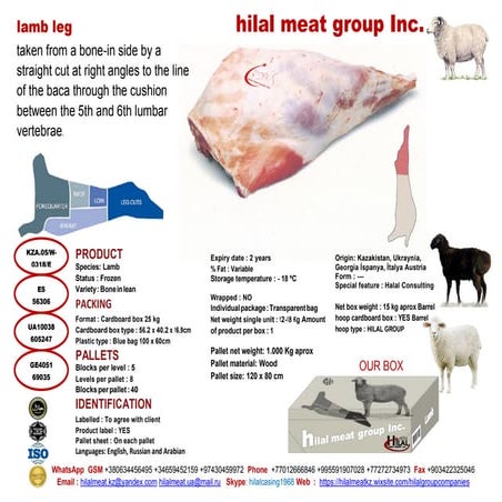 Lamb mutton 6 cuts | PDF